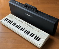 Casio Casiotone MT-60