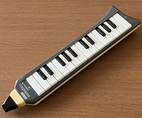 Hohner melodica piano 26