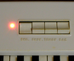 ����������(FAEMI) Mini Organ