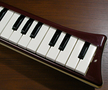Hohner melodica piano 27