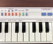 Casio PT-1