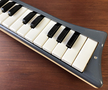 Hohner melodica piano 26
