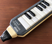 Hohner melodica piano 26