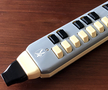 Hohner melodica student