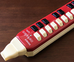Hohner melodica-alto