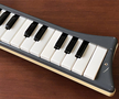 Hohner melodica piano 26