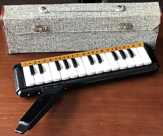 Hohner Silvertone