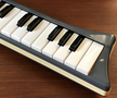 Hohner melodica piano 26
