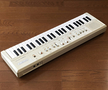 Casio Casiotone MT-60