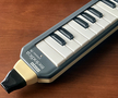 Hohner melodica piano 26
