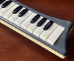 Hohner melodica piano 26
